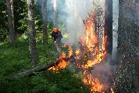 Оперативная информация о ситуации с лесными пожарами на 27 июля.